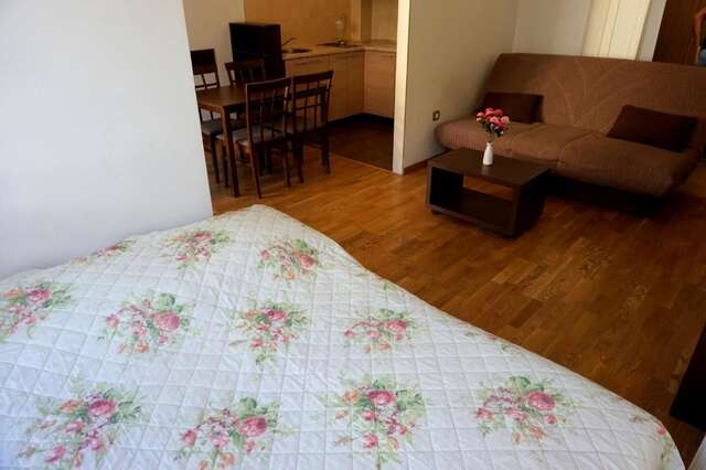 Апартаменты Studio apartman Zec Mirišta Петровац-34